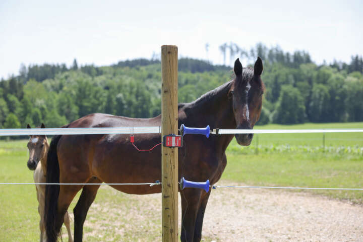 AKO Smart Satellite Zaun- und Batterieprüfer